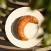 Laube Patisserie