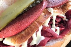 Cilgin Kumrucu Bodrum Bodrum Mugla Rezervasyon Yap Teklif Al